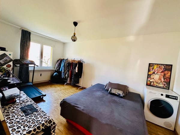 Affittasi a subentrante appartamento arredato 5