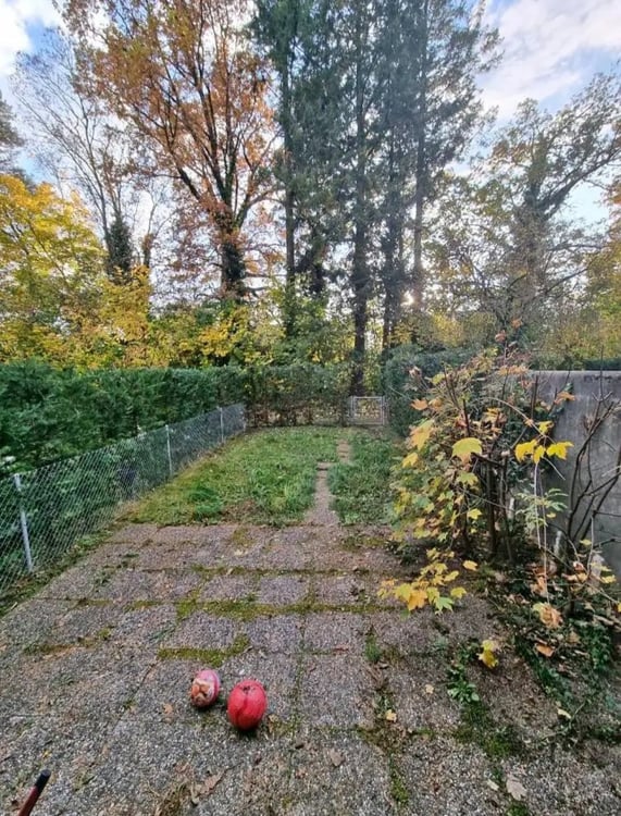 Appartement 1 pièces à louer Vernier 1