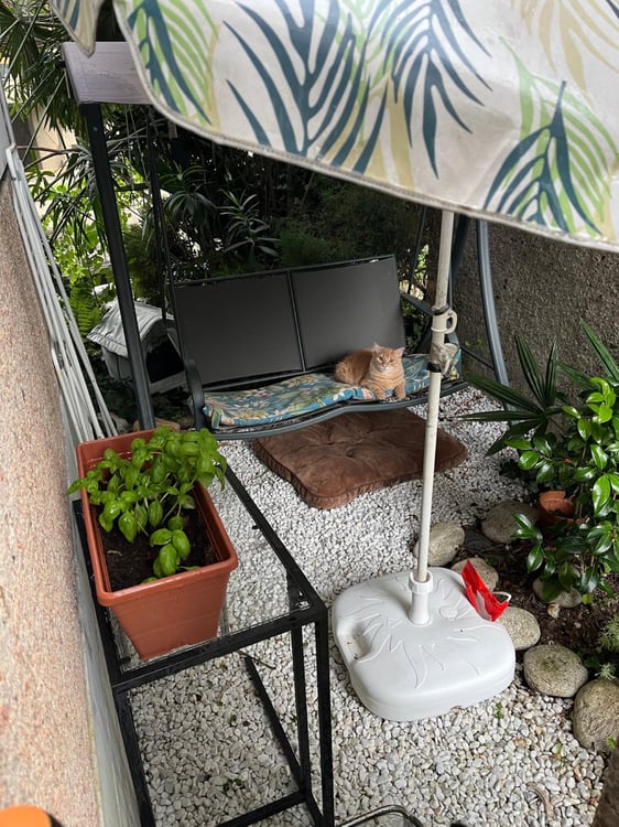 Appartamento 1 locali a Sorengo 5