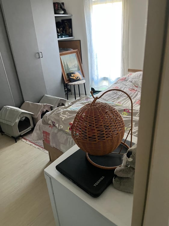 Appartamento 1 locali a Sorengo 4