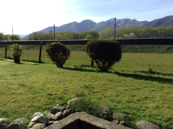 Appartamento 1.5 a Quartino con giardino  ID 20138 5