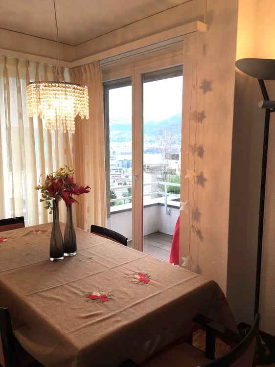 1.5 loc. con GIARDINO e VISTA LAGO a PARADISO   ID 21316 2