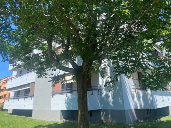 APPARTAMENTO 1.5 LOCALI ULTIMO PIANO A MORBIO INFERIORE 2