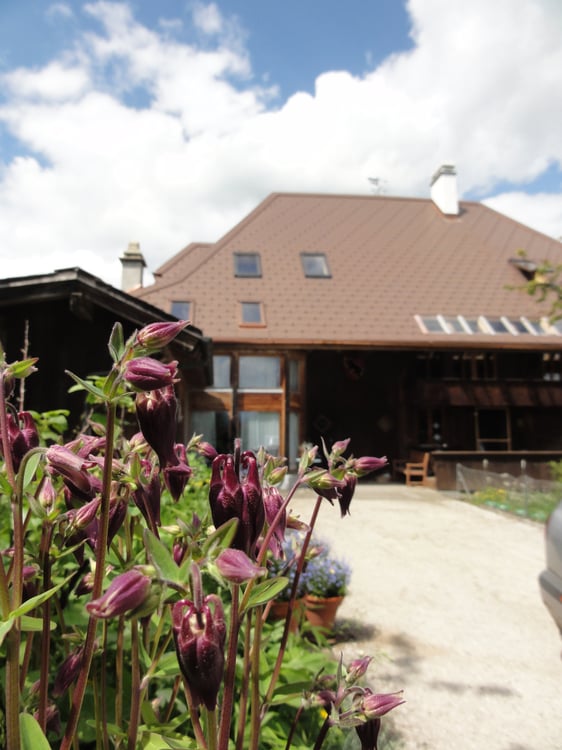 Grosse schöne Wohnung 1