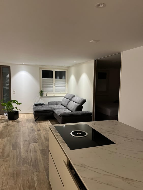 1.5-Zimmer-Wohnung in Winikon im Kanton Luzern 1