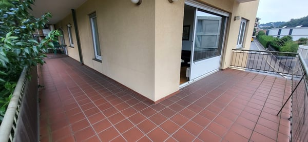 Nuovo Prezzo 1.5 locali a Paradiso con stupenda vista lago 13