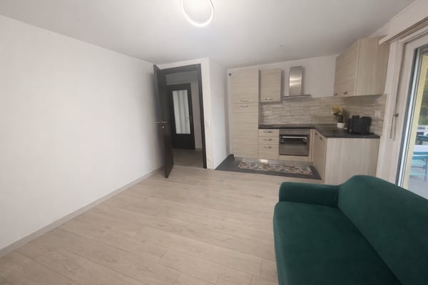 Purasca  1.5 locali arredato con giardino e terrazzo 5