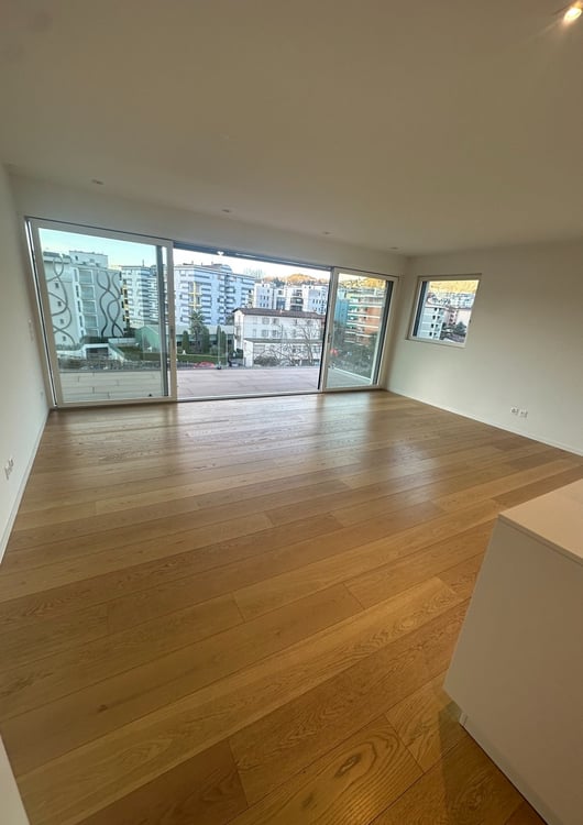 STRATEGICO 1.5 LOC. A LUGANO CON VISTA LAGO  ID 23625 7