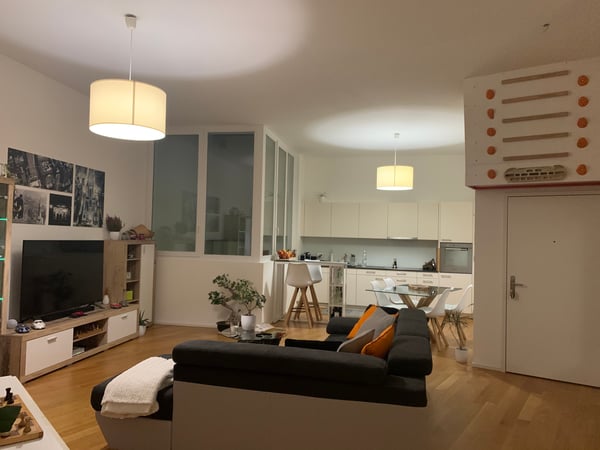 Cercasi subentrante per Loft luminoso e moderno 1