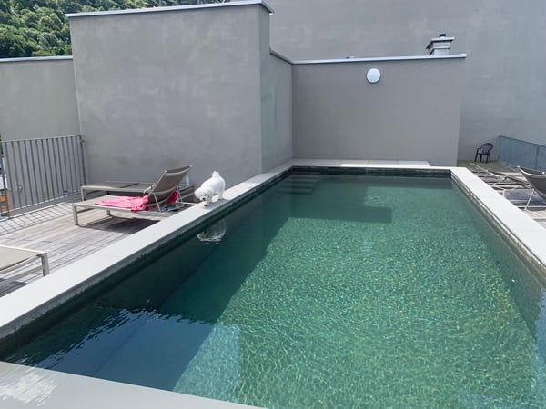 Cercasi subentrante per Loft luminoso e moderno 4