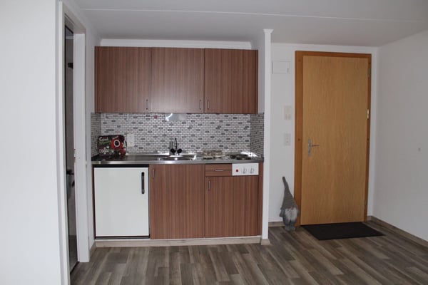 1 Zimmer Altbauwohnung mit Bergsicht 1