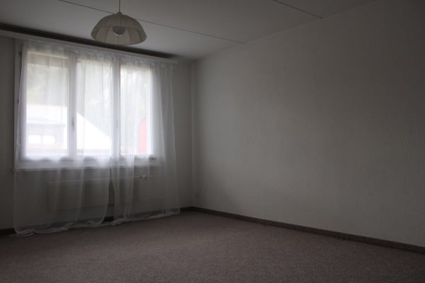 1 Zimmer Altbauwohnung mit Bergsicht 3