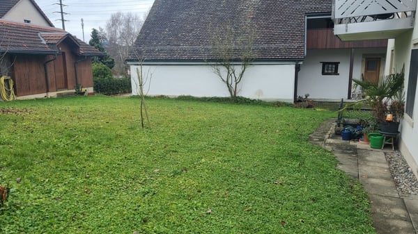 1.5Zi-Wohnung in Oeschgen 1