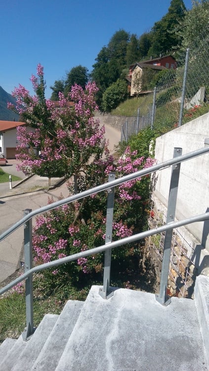 VILLA A ROVEREDO BACIATA  DAL  SOLE 9