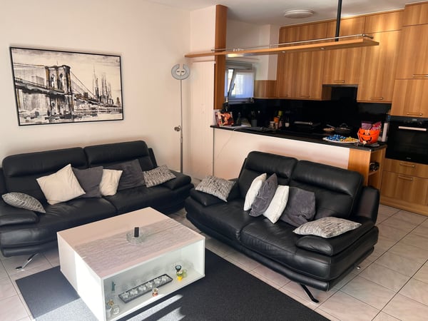 Appartamento 1.5 Bellinzona 1