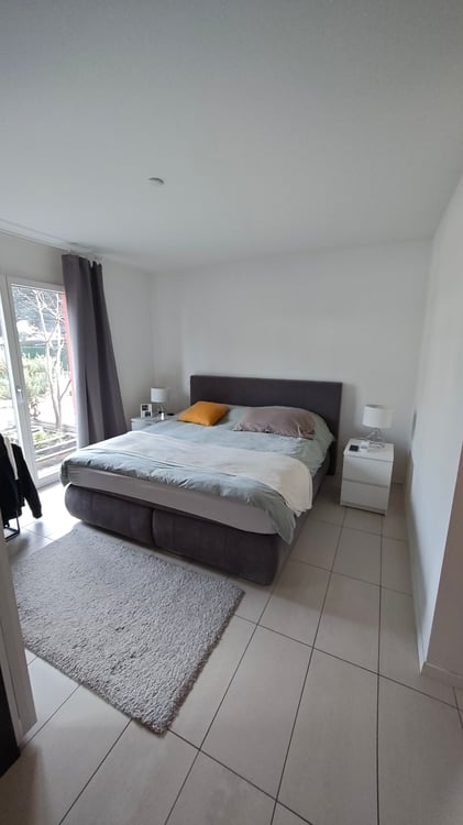 Appartamento 1.5 locali con giardino 3