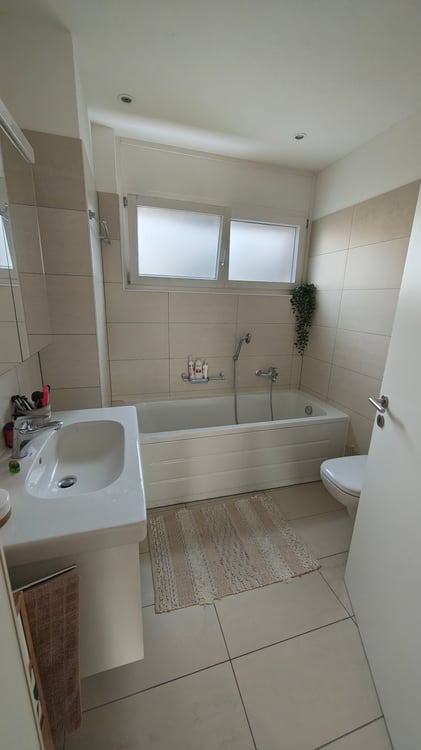 Appartamento 1.5 locali con giardino 5