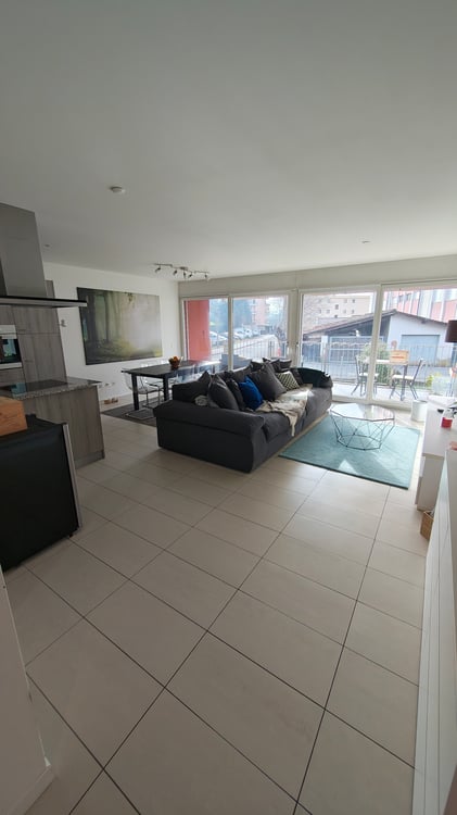 Appartamento 1.5 locali con giardino 1