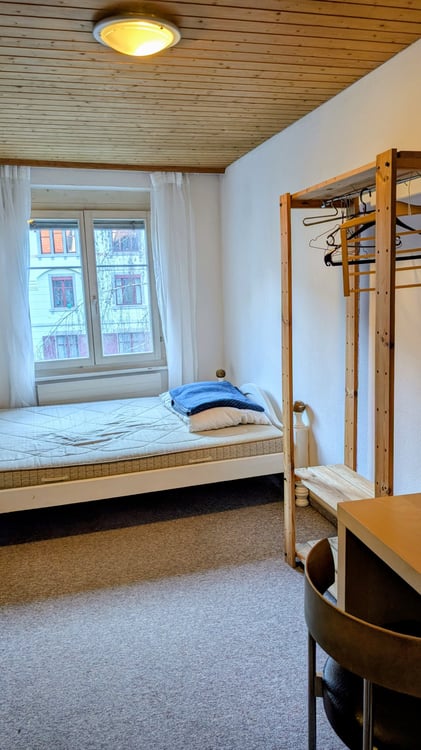 Central in old town, chimney, balcony, short walk to 3 lakes 5