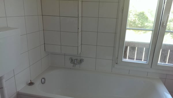 Anders Wohnen:Seltene Chance für kreative Leute in der Natur 2