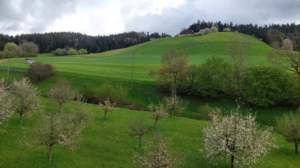 Anders Wohnen:Seltene Chance für kreative Leute in der Natur 1