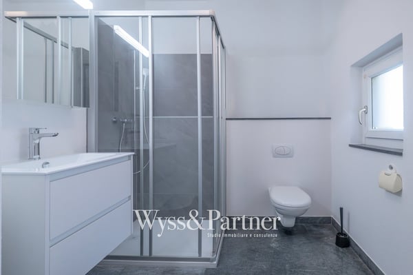 Bellinzona - Storica villa in affitto immersa nella natura 9