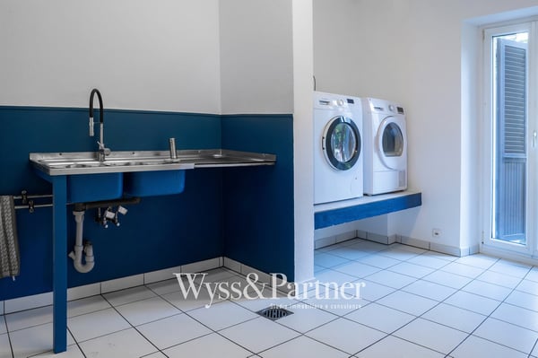 Bellinzona - Storica villa in affitto immersa nella natura 11