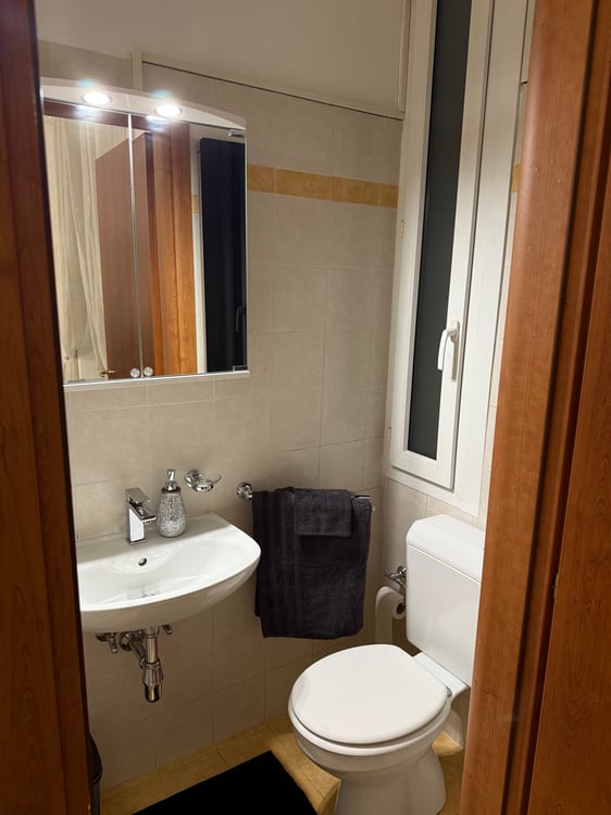 affitto Casa di 1 locali arredata con terrazza e ingresso 4