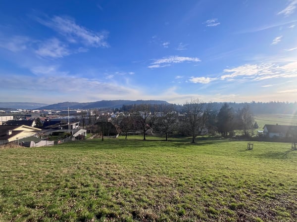 Einfamilienhäuser an Südhanglage mit Garten und Aussicht 3
