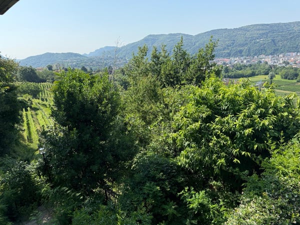 Casa unifamiliare a Morbio Inferiore - ID 23826 5