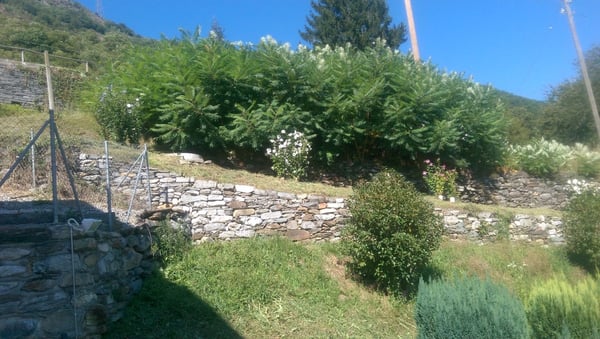 VILLA A ROVEREDO BACIATA DAL SOLE 12