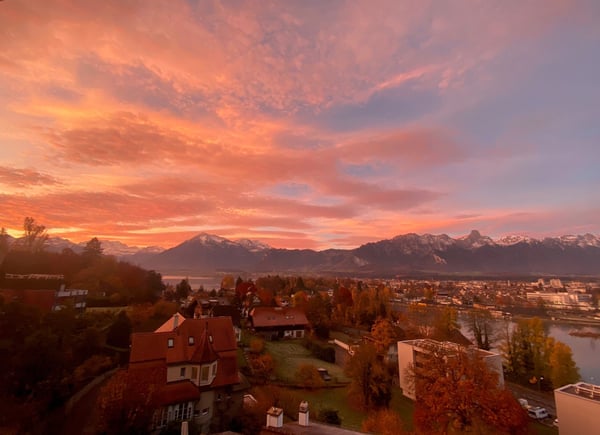 2.5 Zimmer Wohnung 1