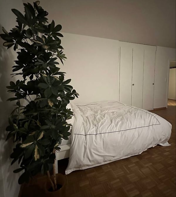 Eine schöne Wohnung in der Nähe des Zürisee,hell&ruhig 1