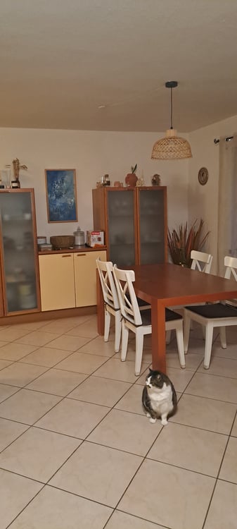 Casa monofamiliare 5