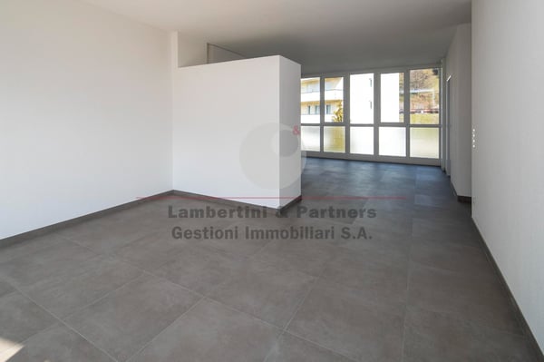 APPARTAMENTO 3.5 LOCALI a Balerna 4