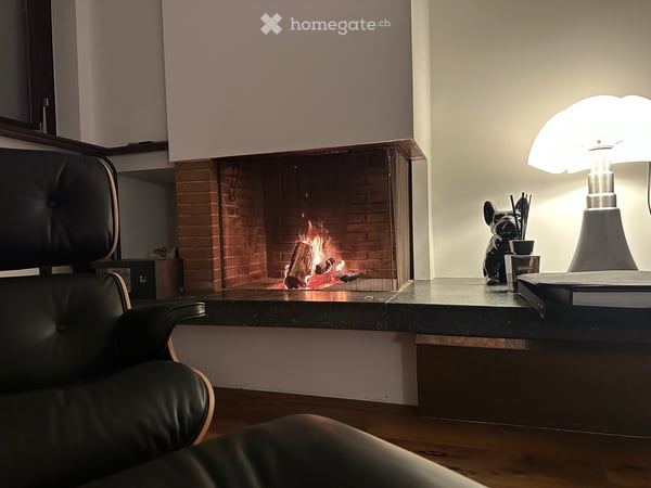 4 ½ Zimmer-Terrassen-Wohnung 1