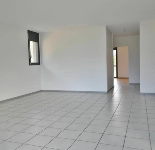 Lodrino, 4.5 ristrutturato, 1 mese gratis 4