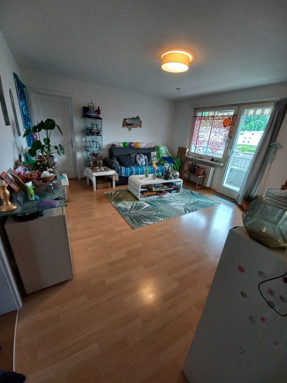Nachmieter für sonnige 4.5 Zimmer Wohnung 3
