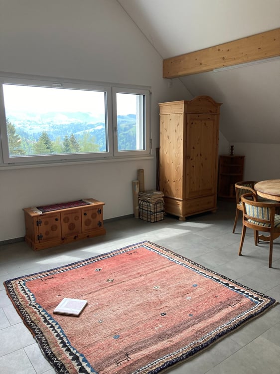 Helle 2.5 Zimmer Wohnung plus Dachzimmer 4