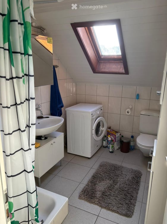 Charmante 4.5 Zimmer Dachwohnung in Rickenbach LU 4