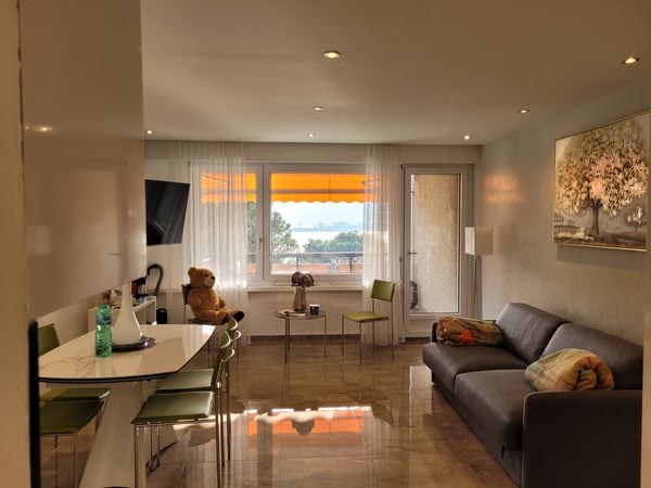 Moderne und Renovierte 2.5 Zi. Whg. mit Seesicht 4