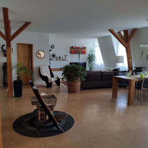 Haus der 5 Sinne  Ausserge.  Loftwohnung mit über 120 m² WF 2