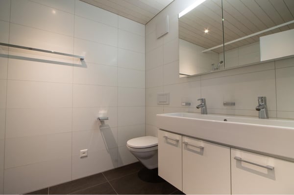 Schöne 4.5 Zimmer-Dachwohnung 3
