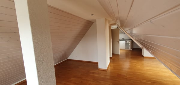 1 Zimmerwohnung / Dachgeschoss 4