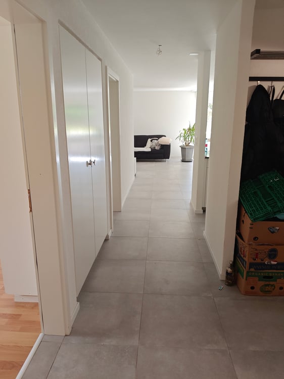 SUCHE Nachmieter, ab Juli/ Augst 4