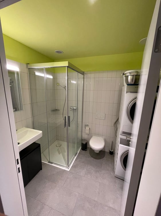 Moderne, möblierte 1.5-Zimmer-Wohnung im Aeschbachquartier 4
