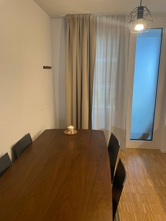 Moderne, möblierte 1.5-Zimmer-Wohnung im Aeschbachquartier 2