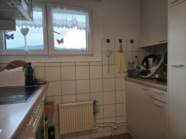 Nachmiter gesucht 2