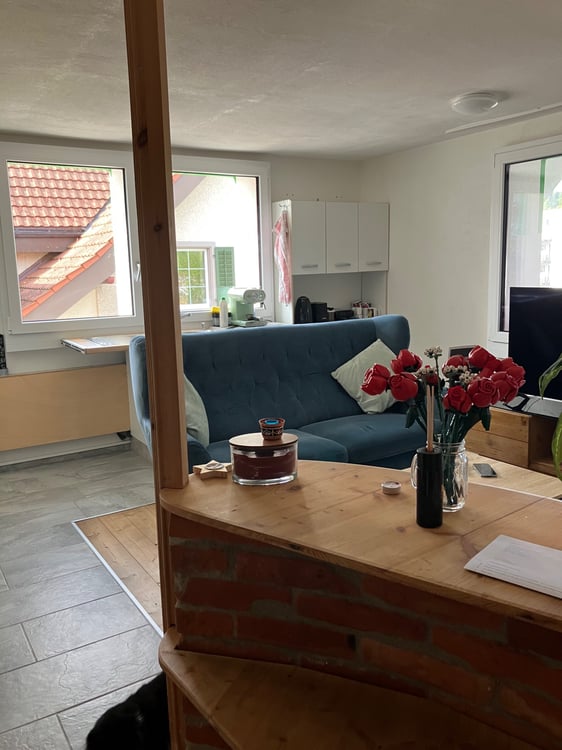 4,5 Zi- Wohnung mit grossem Garten 4
