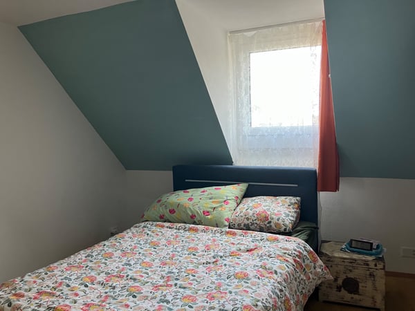 4,5 Zi- Wohnung mit grossem Garten 2